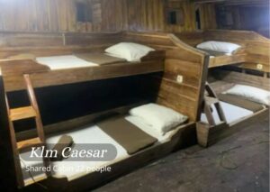 Shared Cabin (Large)