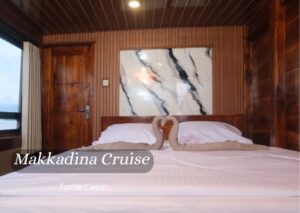 Turtle Cabin (Main Deck)