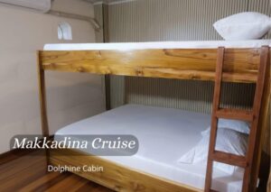 Dolphin Cabin (Lower Deck)